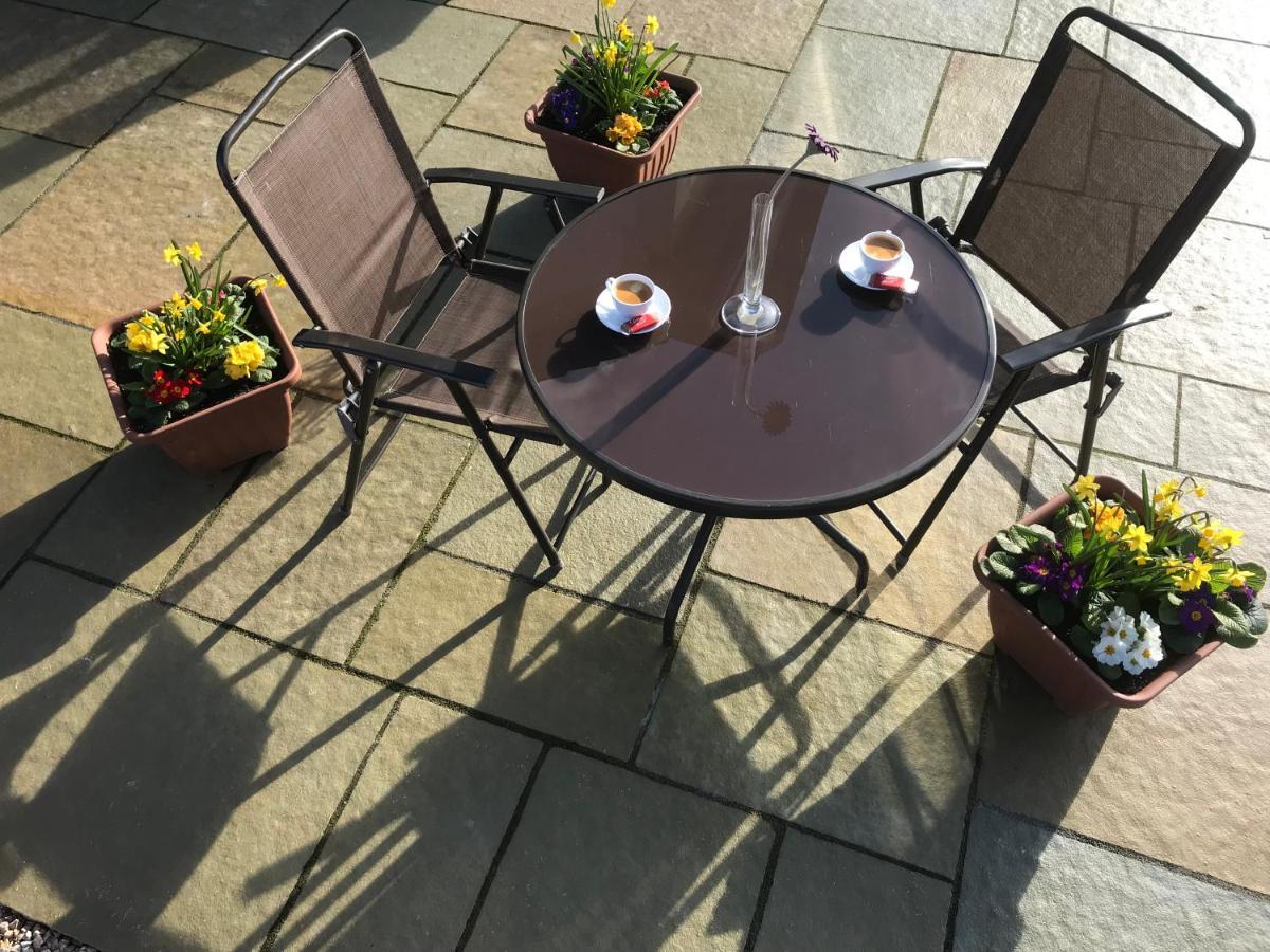 위클로 Oak Trees Corner Stylish , Relaxing , Getaway 아파트 외부 사진